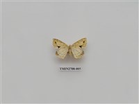 藏品(尺蛾245)的圖片